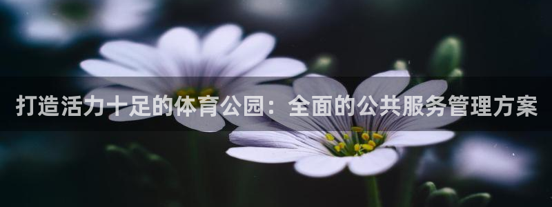 必一运动tieba.baidu.com